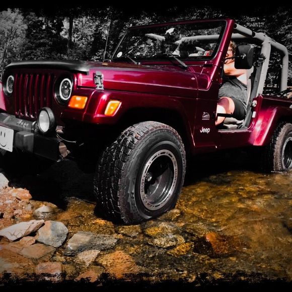 Meet your Posher, Clyde - Picture 1 of 1